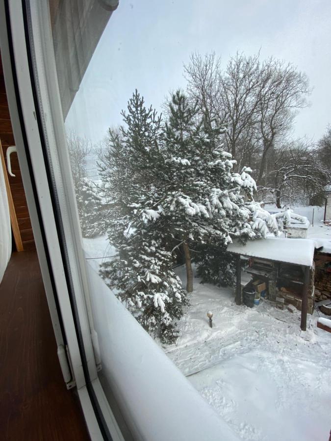 Guest House Shulc Mizhhirya  외부 사진